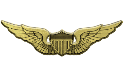 ArmA 3 Clan MilSim - Pilot 3 gold