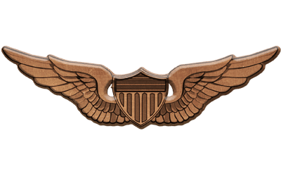 ArmA 3 Clan MilSim - pilot 1 bronze