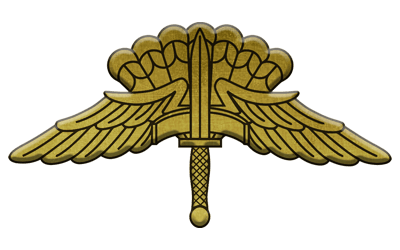 ArmA 3 Clan MilSim - Command 3 Senior