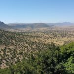 Valley_of_Argan_trees